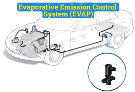 What is the EVAP system and how does it work 